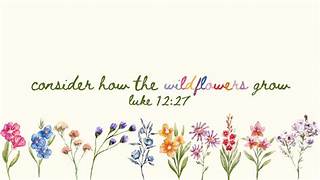 The Potter’s Wheel – May 2026