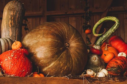 The Potter’s Wheel – October 2026